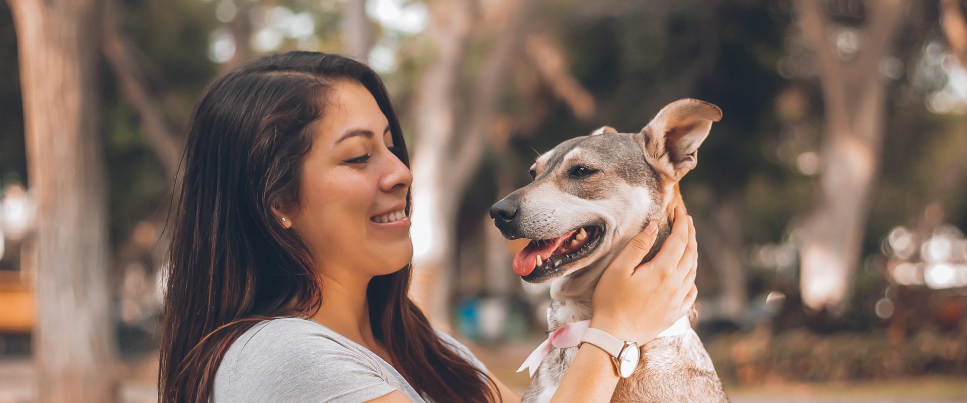 Exploring Exclusions and Limitations of Pet Insurance