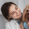 All About Pet Wellness Plans