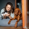 Age and Breed of Dog: How They Affect Pet Insurance Costs