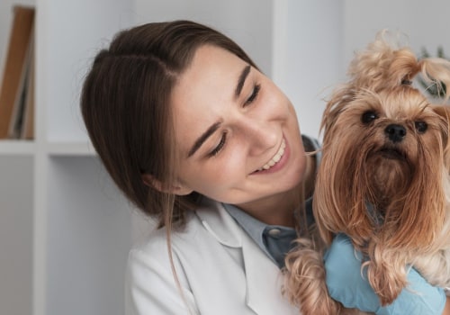 All About Pet Wellness Plans